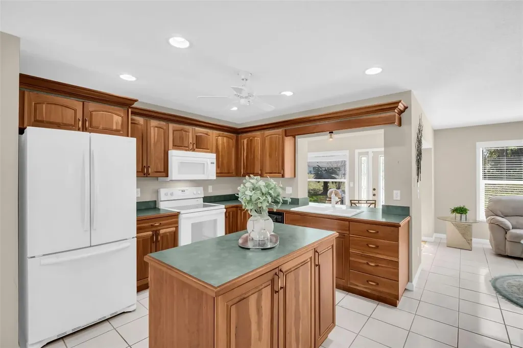 3132 Brunswick Circle Palm Harbor FL 34684