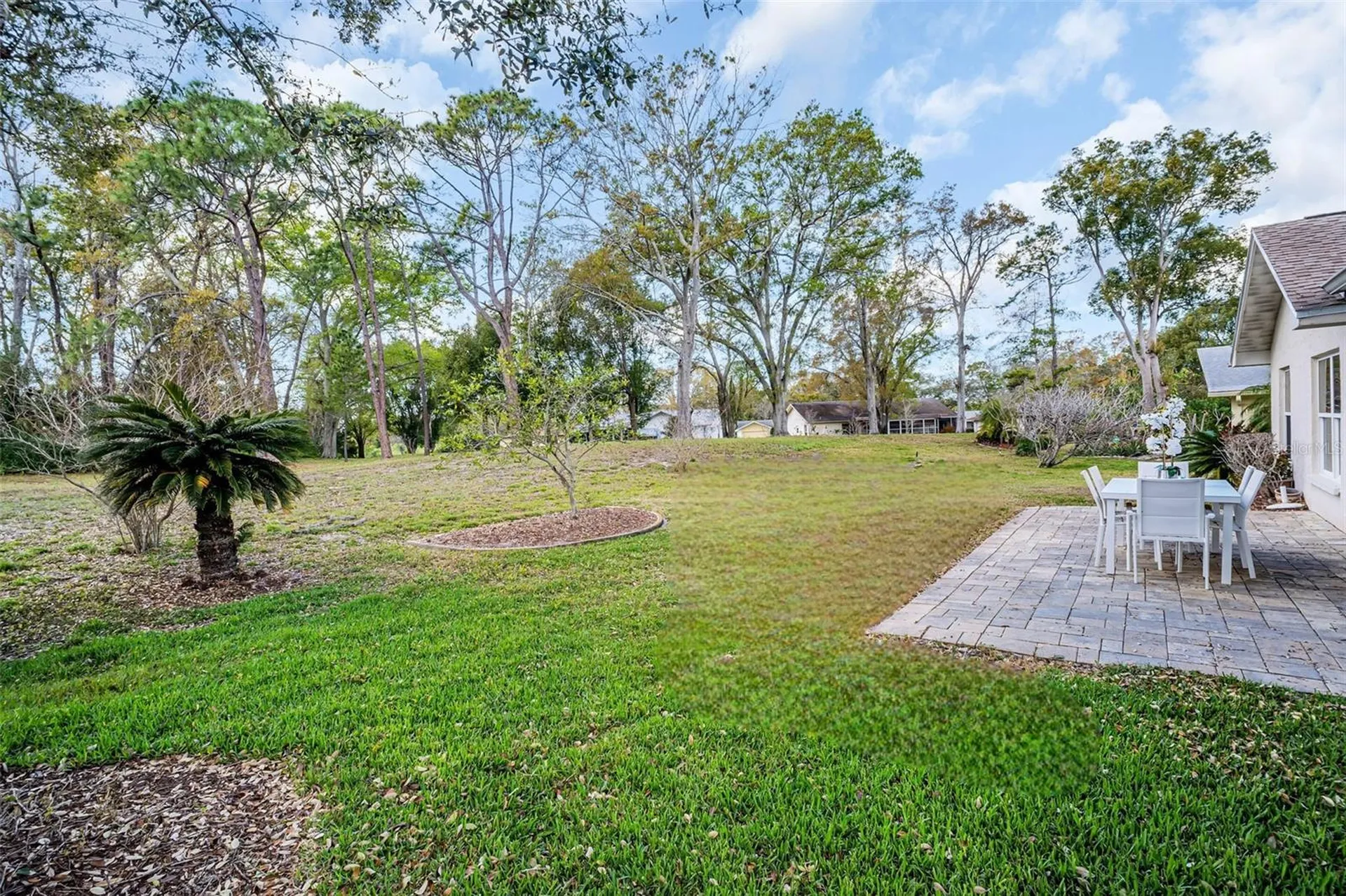 3132 Brunswick Circle Palm Harbor FL 34684