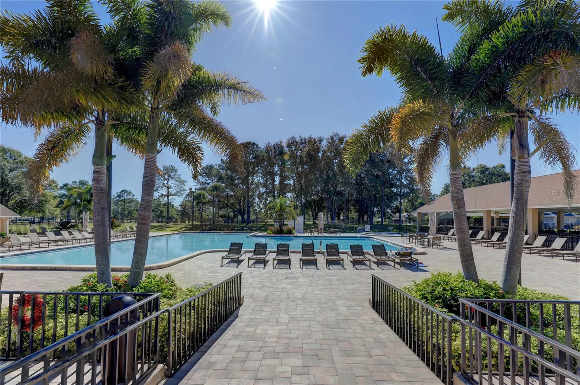 3132 Brunswick Circle Palm Harbor FL 34684