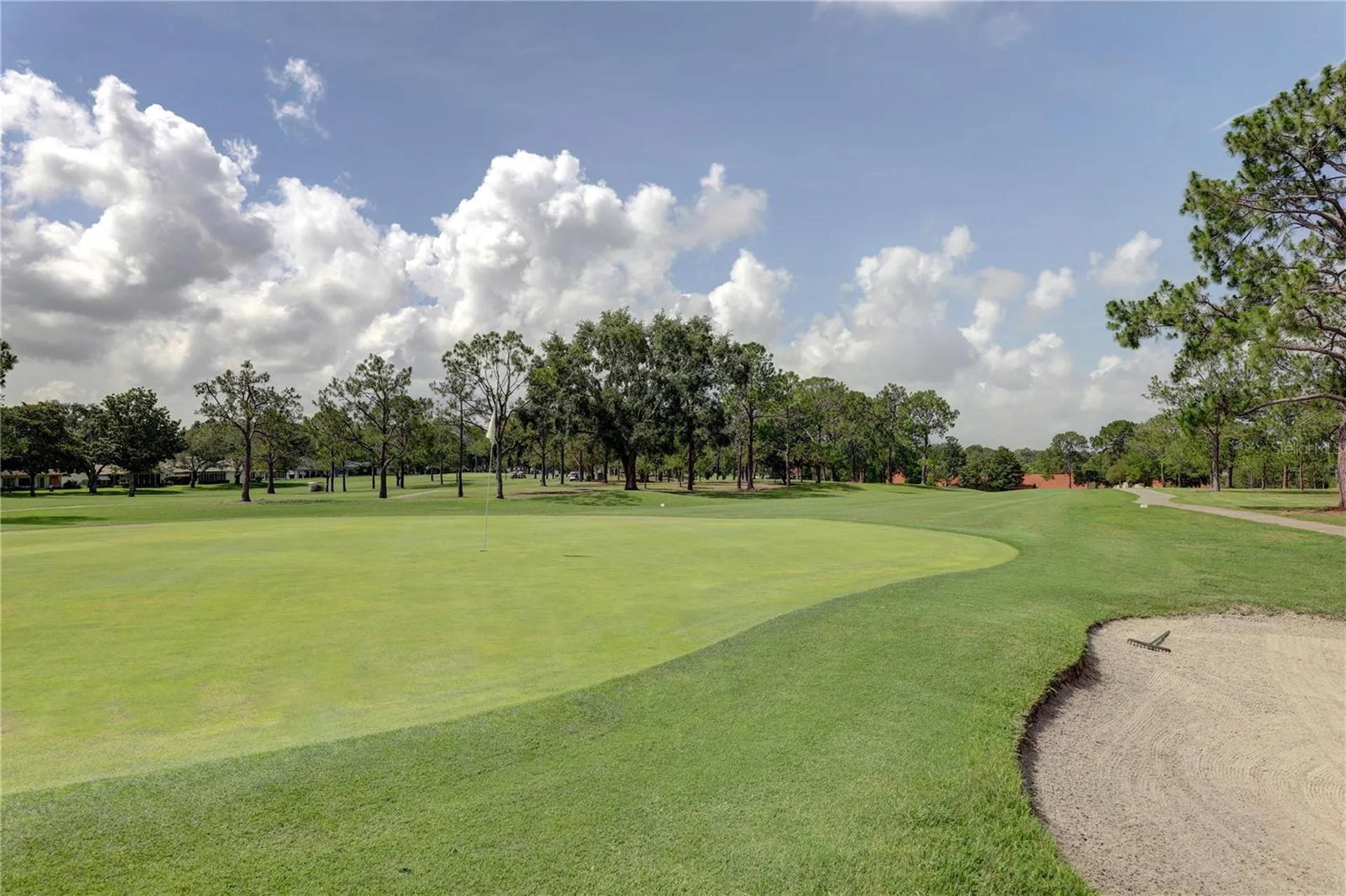 3132 Brunswick Circle Palm Harbor FL 34684