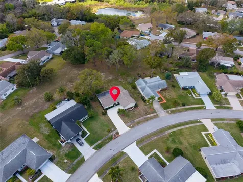 3132 Brunswick Circle Palm Harbor FL 34684