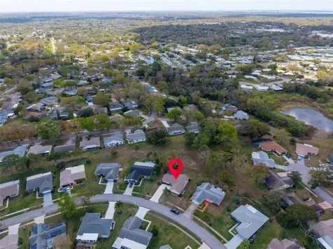 3132 Brunswick Circle Palm Harbor FL 34684