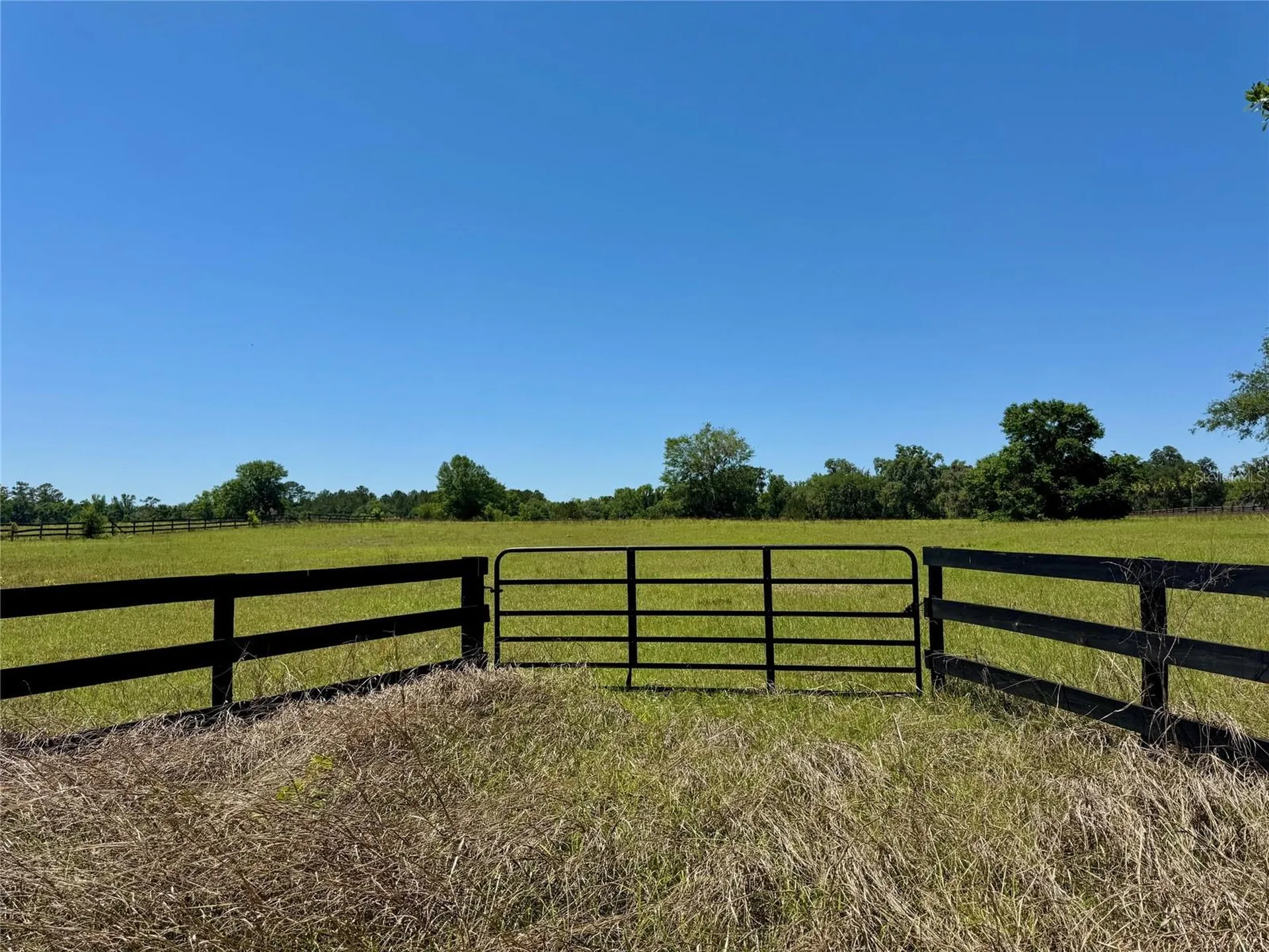 0 NW 115 Avenue Ocala FL 34482