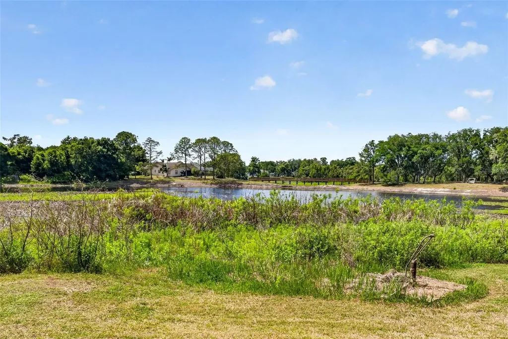 16330 Hanna Road Lutz FL 33549