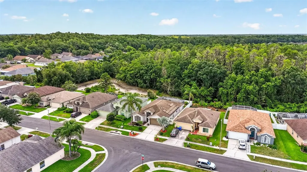 29454 Crossland Drive Wesley Chapel FL 33543