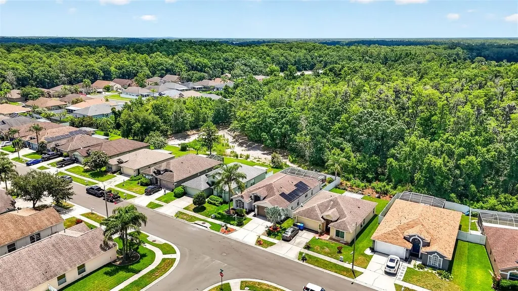 29454 Crossland Drive Wesley Chapel FL 33543