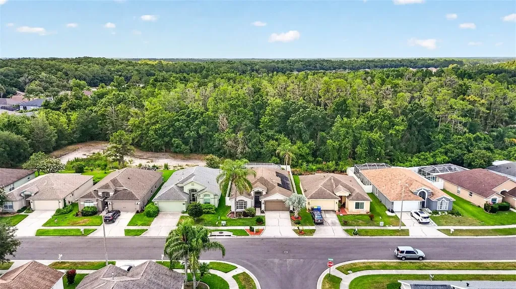 29454 Crossland Drive Wesley Chapel FL 33543