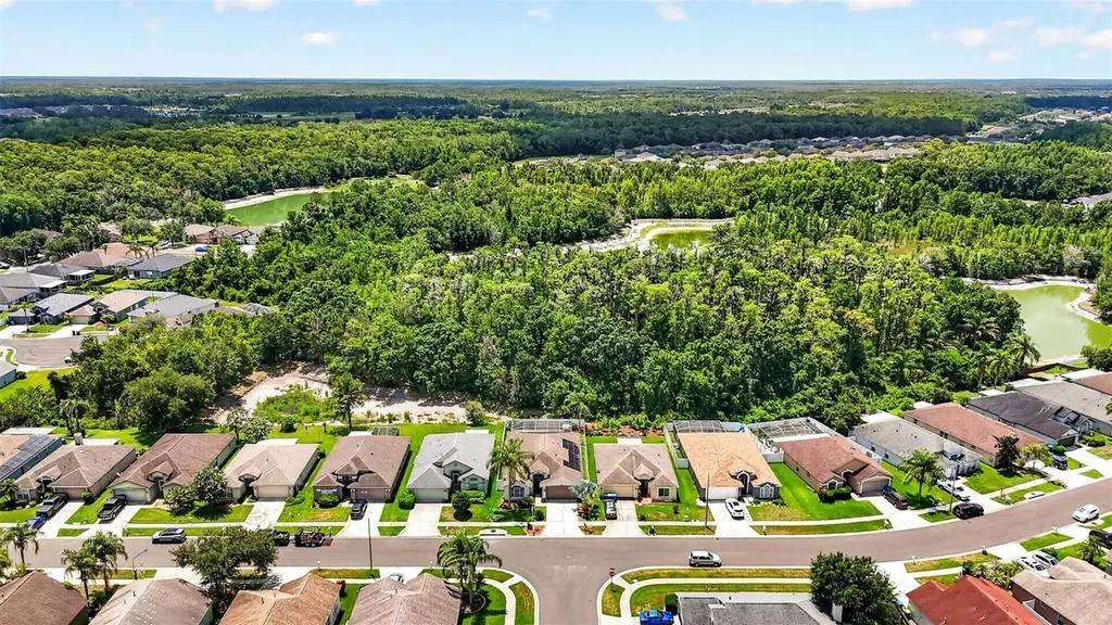 29454 Crossland Drive Wesley Chapel FL 33543