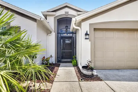 29454 Crossland Drive Wesley Chapel FL 33543