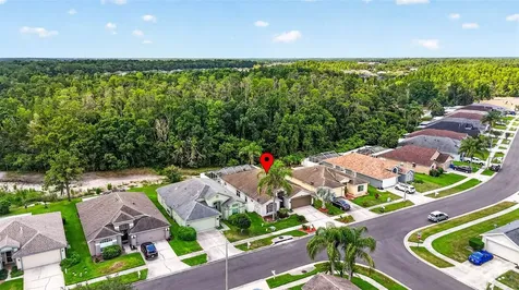 29454 Crossland Drive Wesley Chapel FL 33543