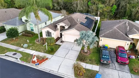 29454 Crossland Drive Wesley Chapel FL 33543