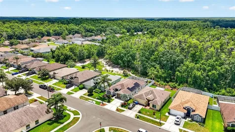 29454 Crossland Drive Wesley Chapel FL 33543