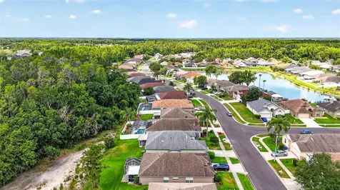 29454 Crossland Drive Wesley Chapel FL 33543