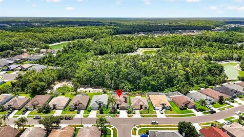 29454 Crossland Drive Wesley Chapel FL 33543