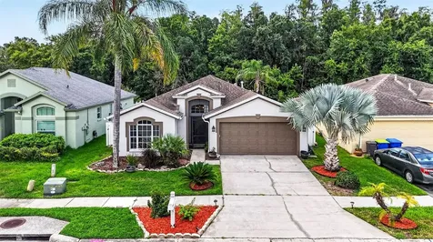 29454 Crossland Drive Wesley Chapel FL 33543
