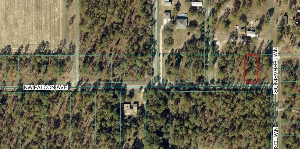 Tbd NW Falcon Ave, Lot 33 Dunnellon FL 34431