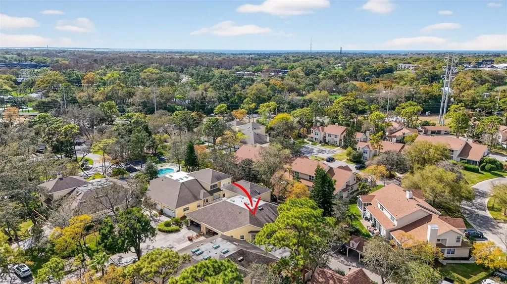 2189 Oak Forest Lane Palm Harbor FL 34683