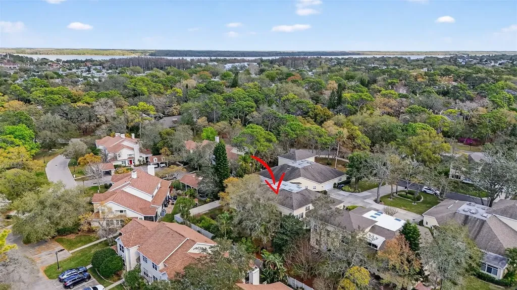 2189 Oak Forest Lane Palm Harbor FL 34683