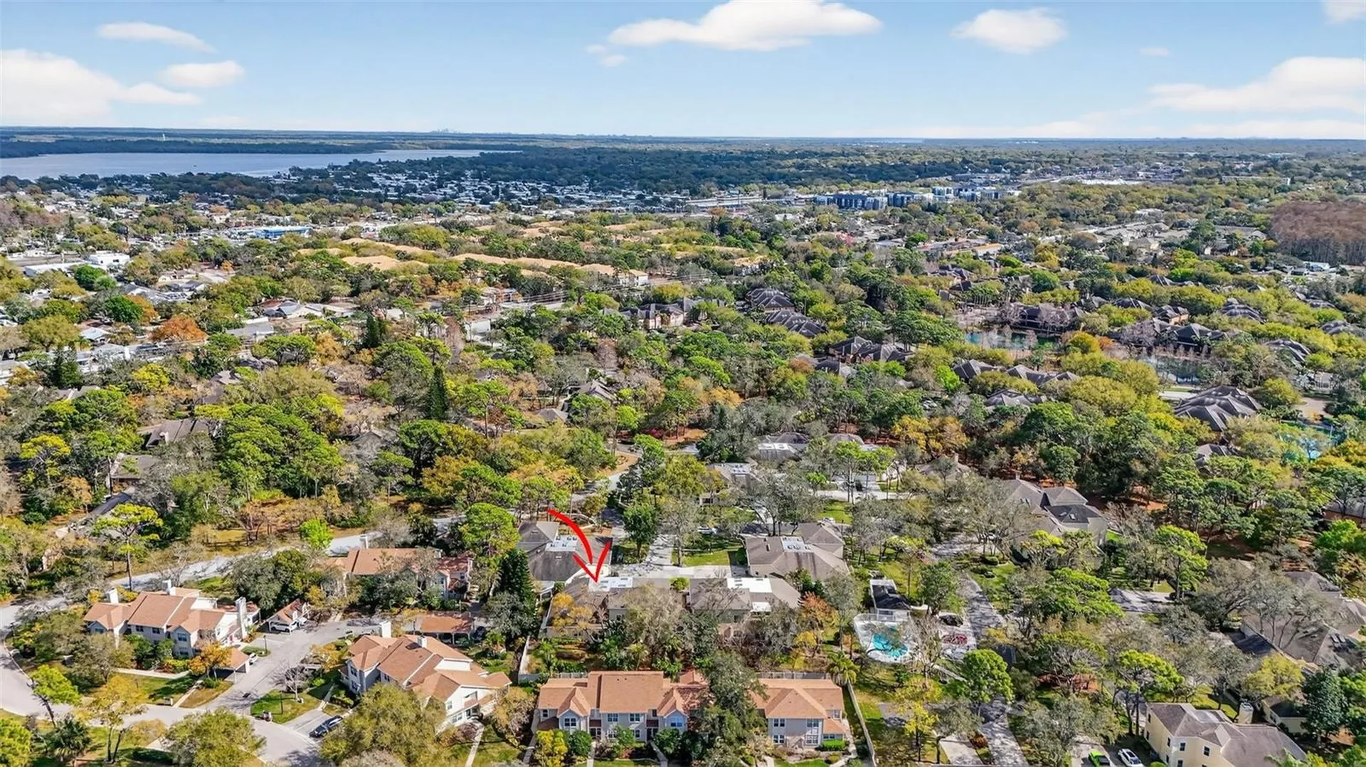2189 Oak Forest Lane Palm Harbor FL 34683