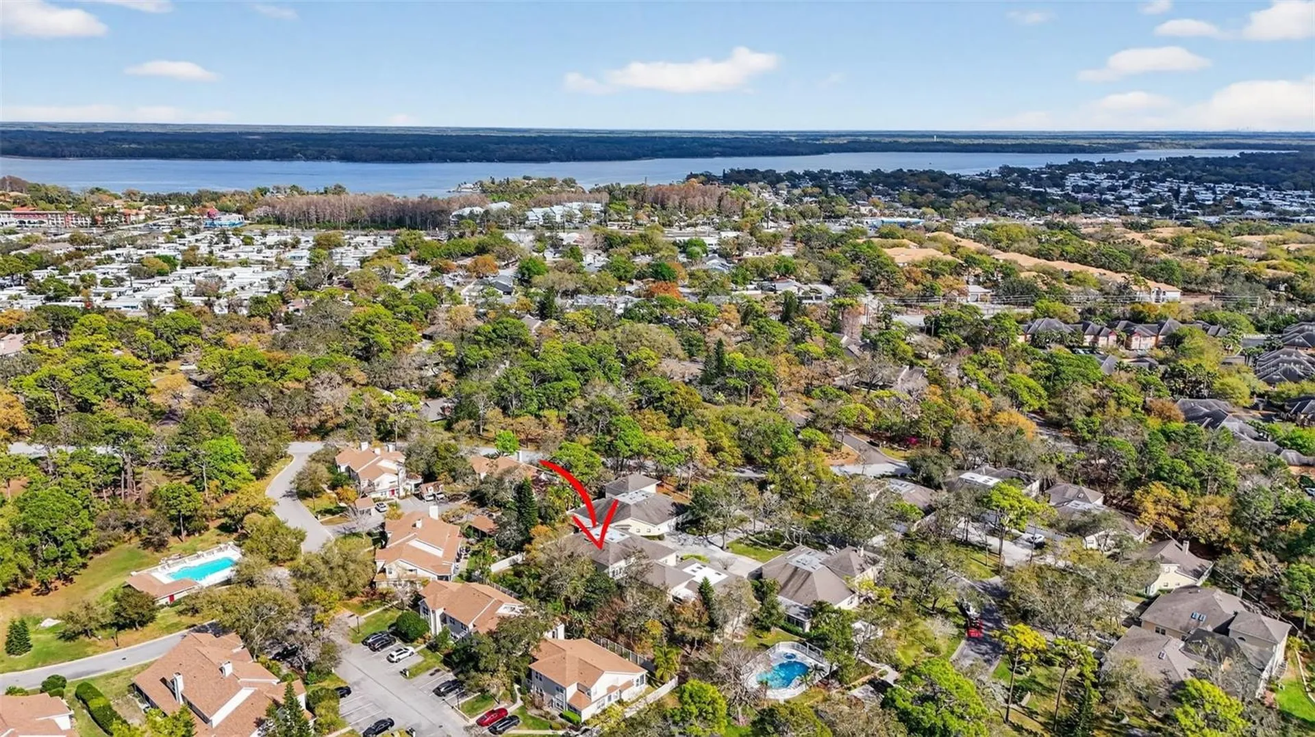 2189 Oak Forest Lane Palm Harbor FL 34683