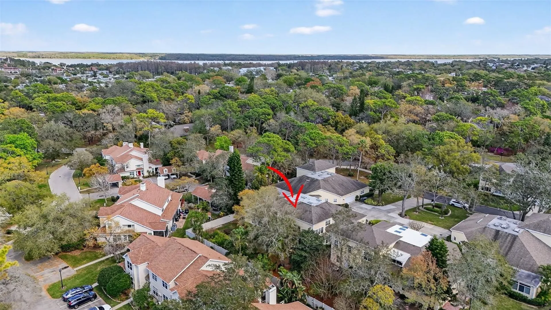 2189 Oak Forest Lane Palm Harbor FL 34683