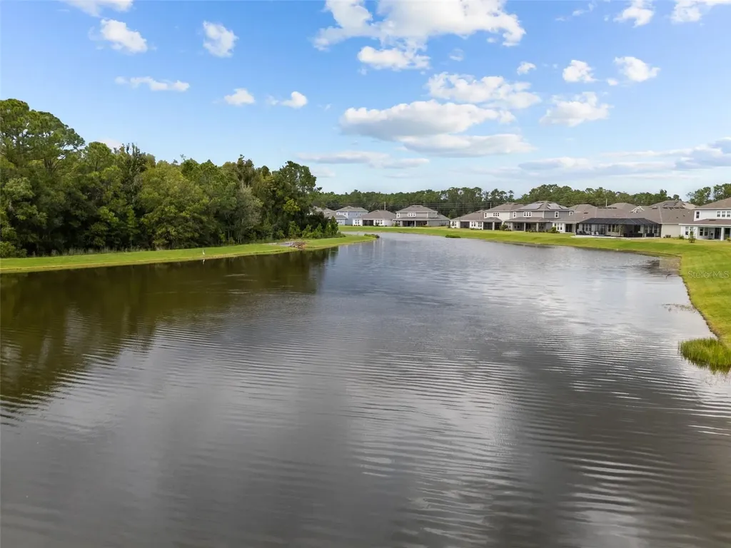 33555 Mainstay Lane Wesley Chapel FL 33543
