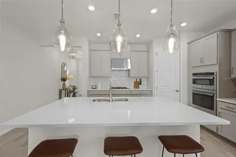 33555 Mainstay Lane Wesley Chapel FL 33543
