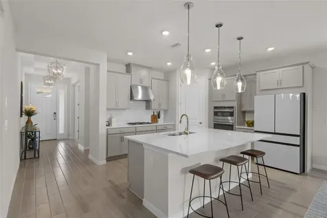 33555 Mainstay Lane Wesley Chapel FL 33543