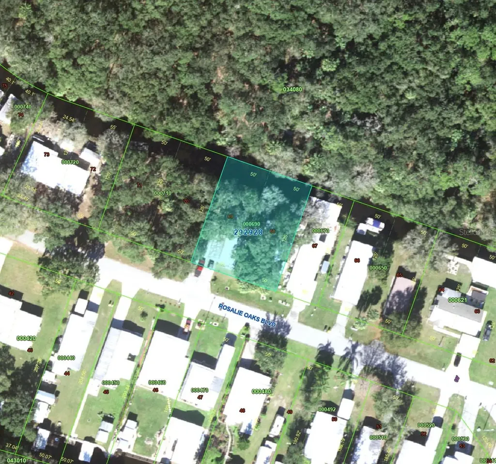 69 Rosalie Oaks Boulevard Lake Wales FL 33898