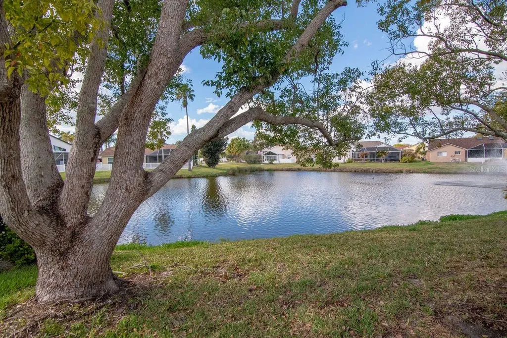 835 Christina Circle Oldsmar FL 34677
