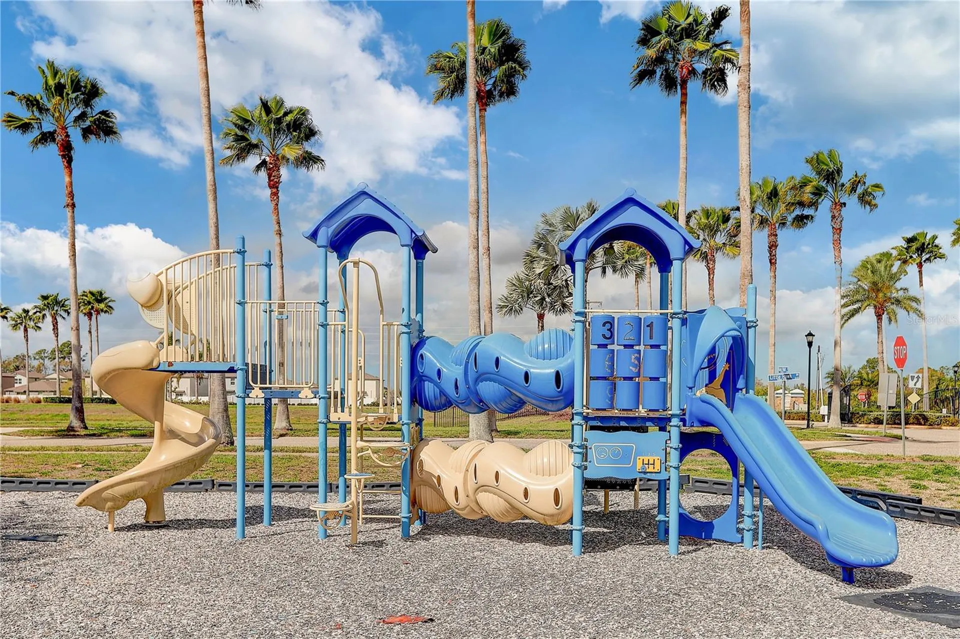 2410 Hawks Point Court Ruskin FL 33570