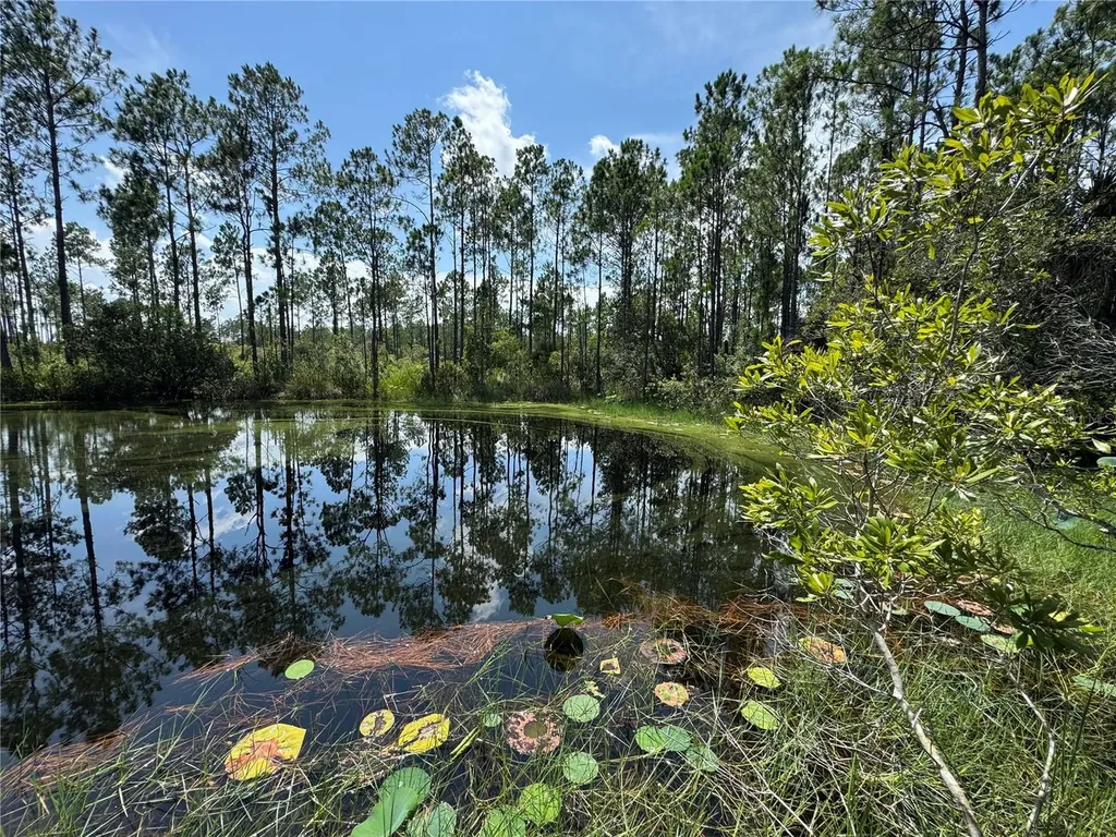 4300 Justa Road Mims FL 32754