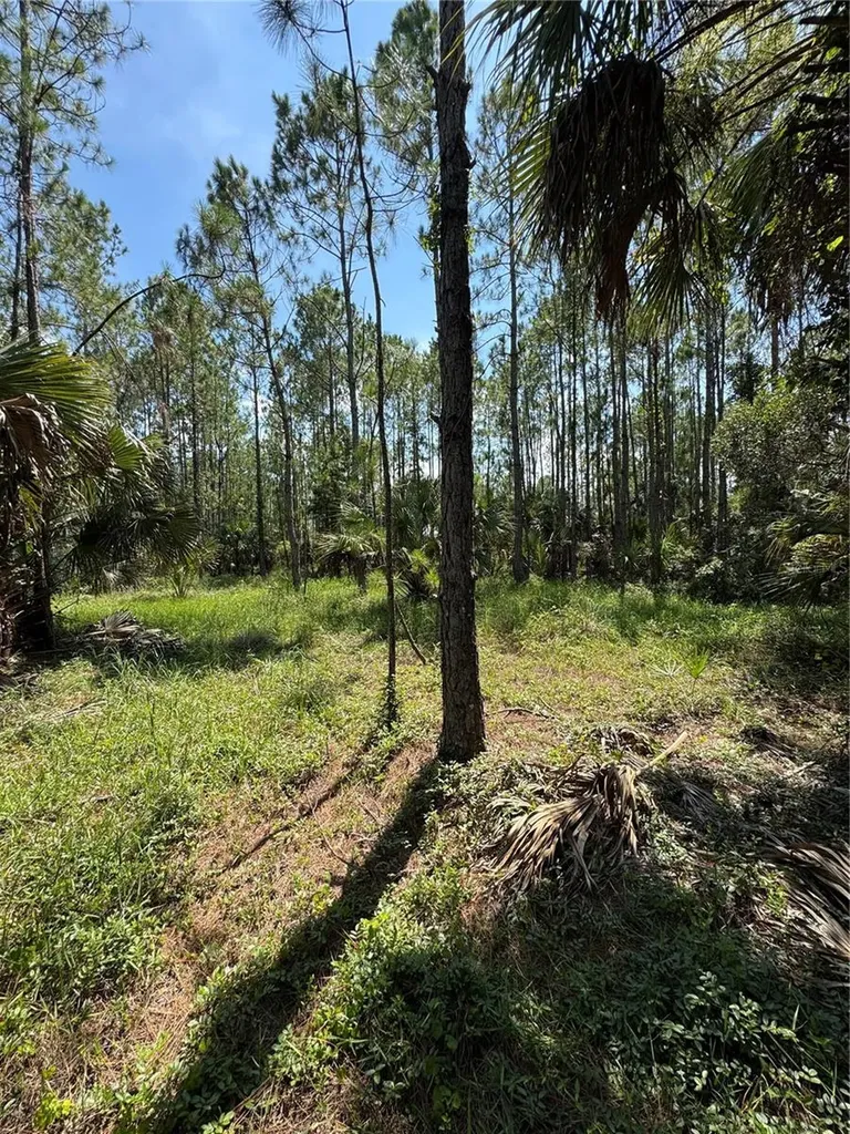 4300 Justa Road Mims FL 32754
