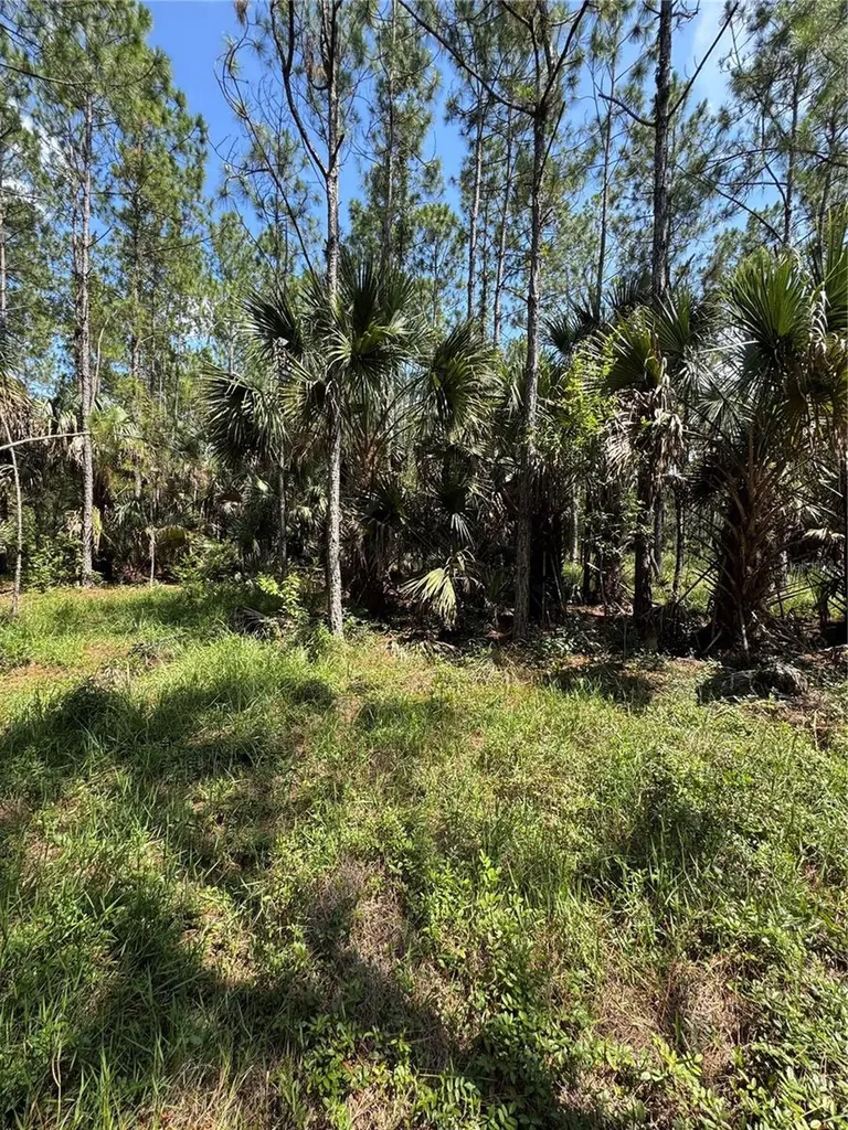 4300 Justa Road Mims FL 32754