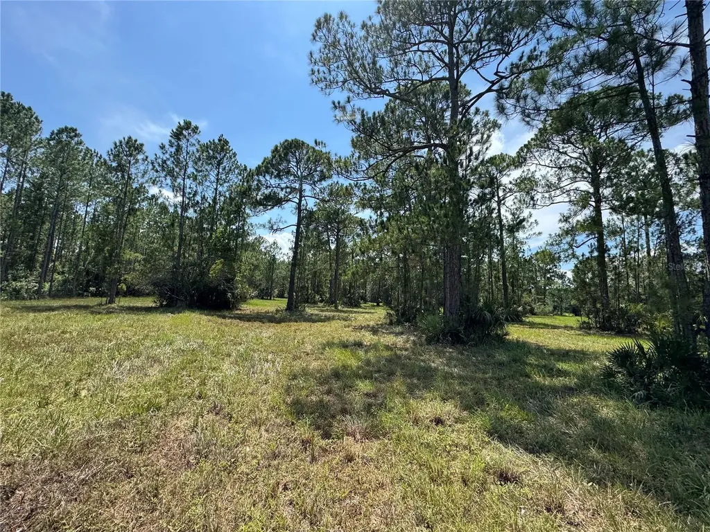 4300 Justa Road Mims FL 32754