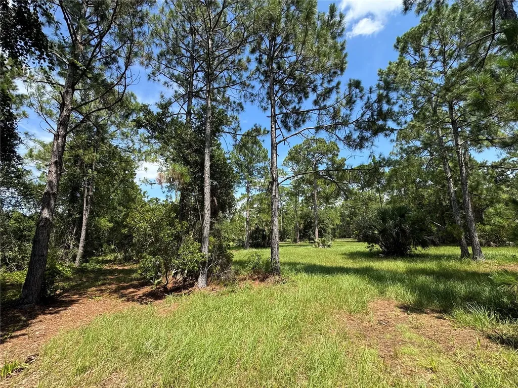 4300 Justa Road Mims FL 32754