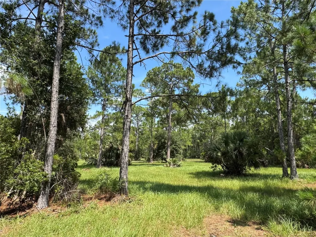 4300 Justa Road Mims FL 32754
