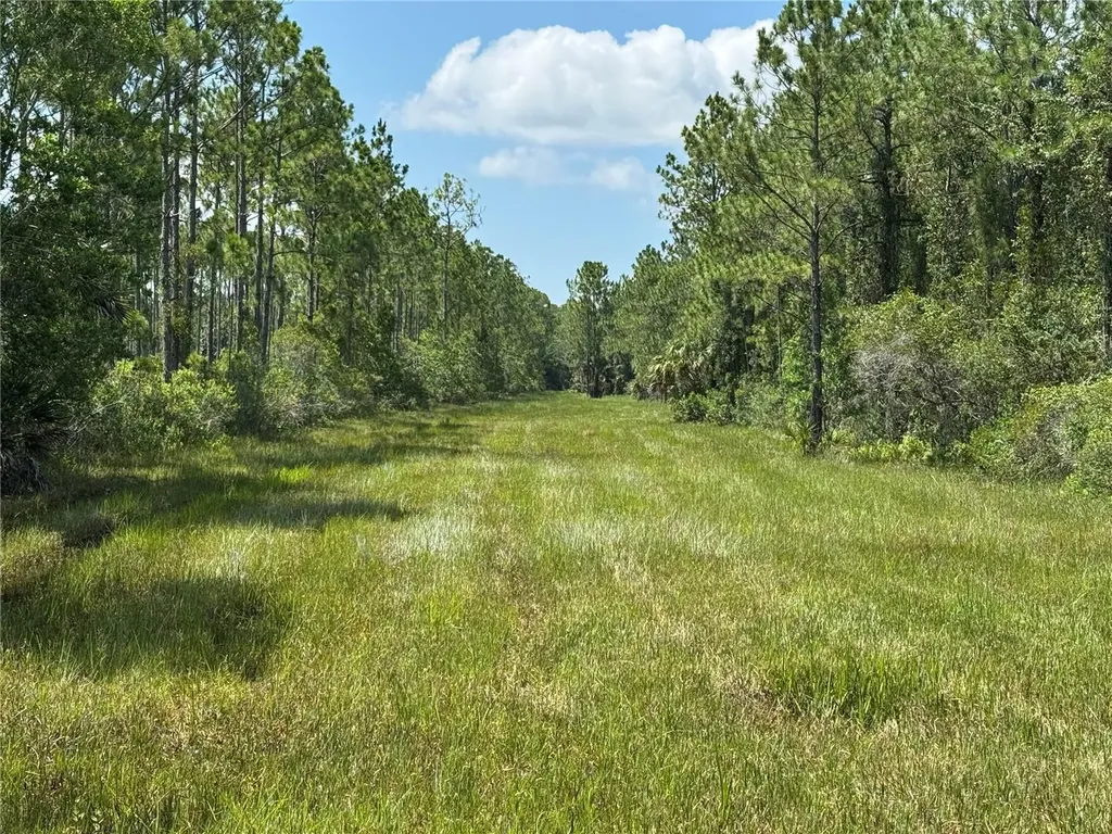 4300 Justa Road Mims FL 32754