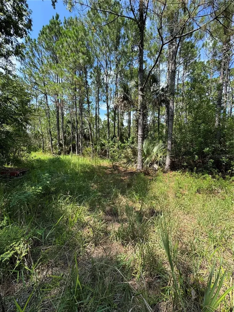 4300 Justa Road Mims FL 32754