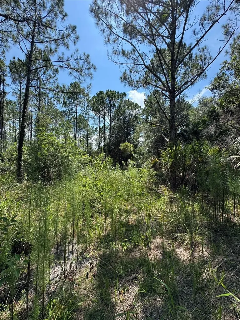 4300 Justa Road Mims FL 32754