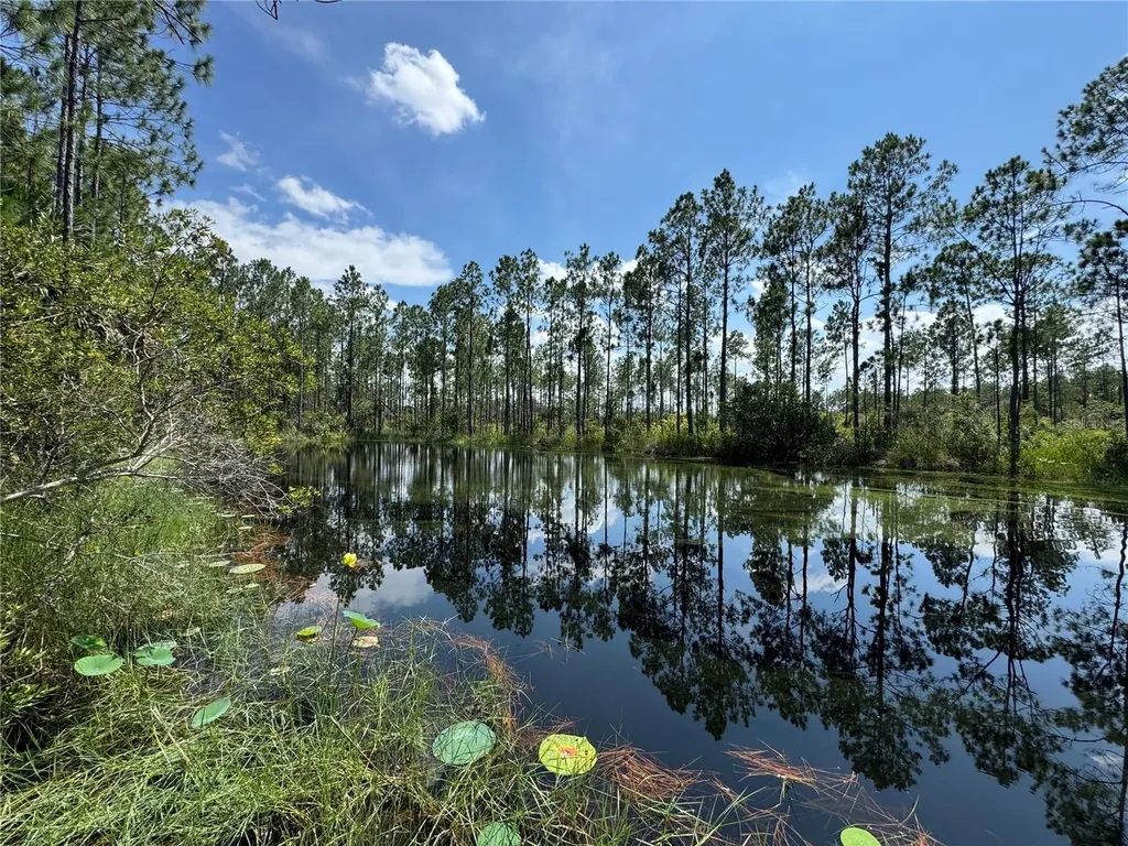 4300 Justa Road Mims FL 32754