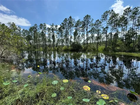 4300 Justa Road Mims FL 32754