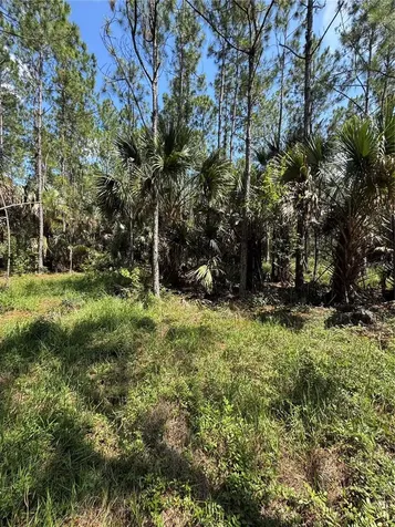 4300 Justa Road Mims FL 32754