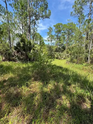 4300 Justa Road Mims FL 32754