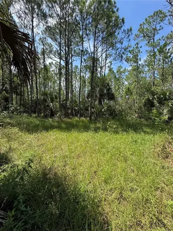 4300 Justa Road Mims FL 32754