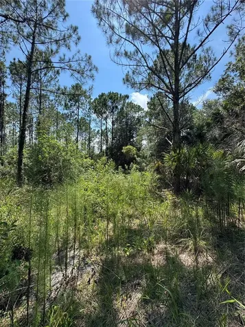4300 Justa Road Mims FL 32754