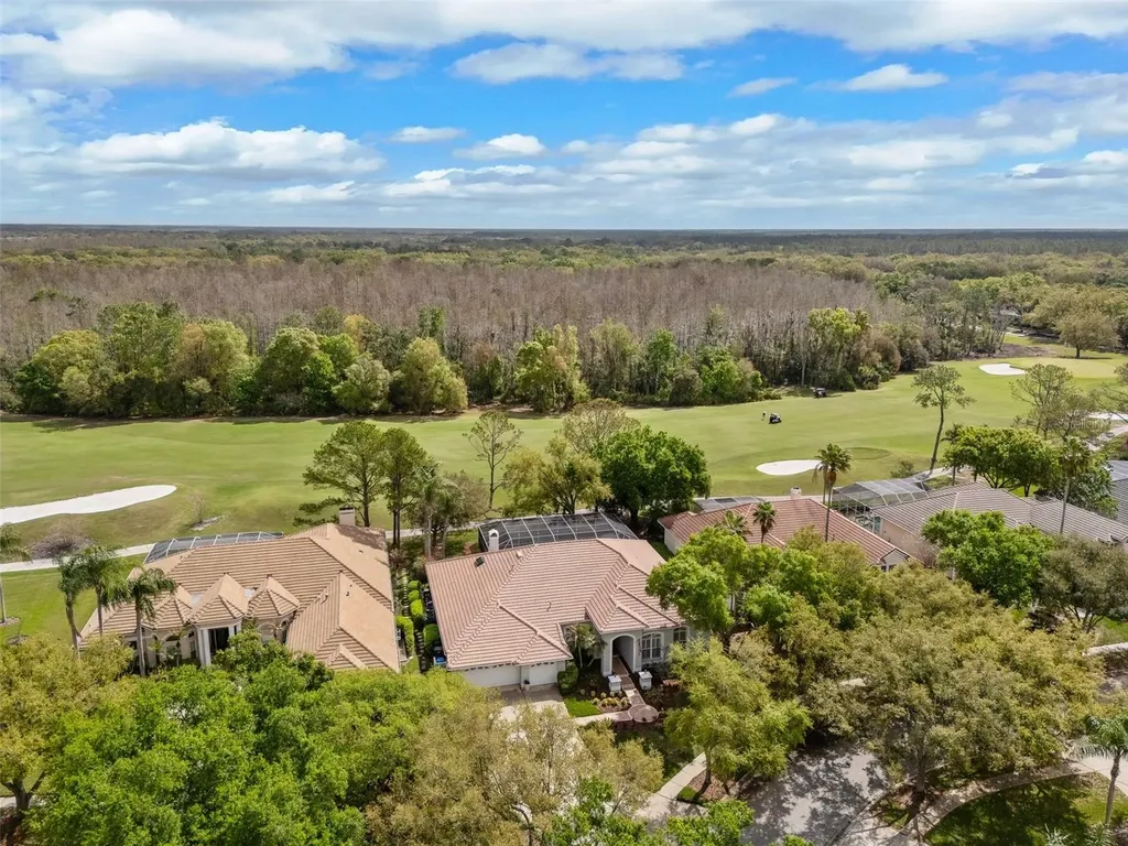 17815 Osprey Pointe Place Tampa FL 33647