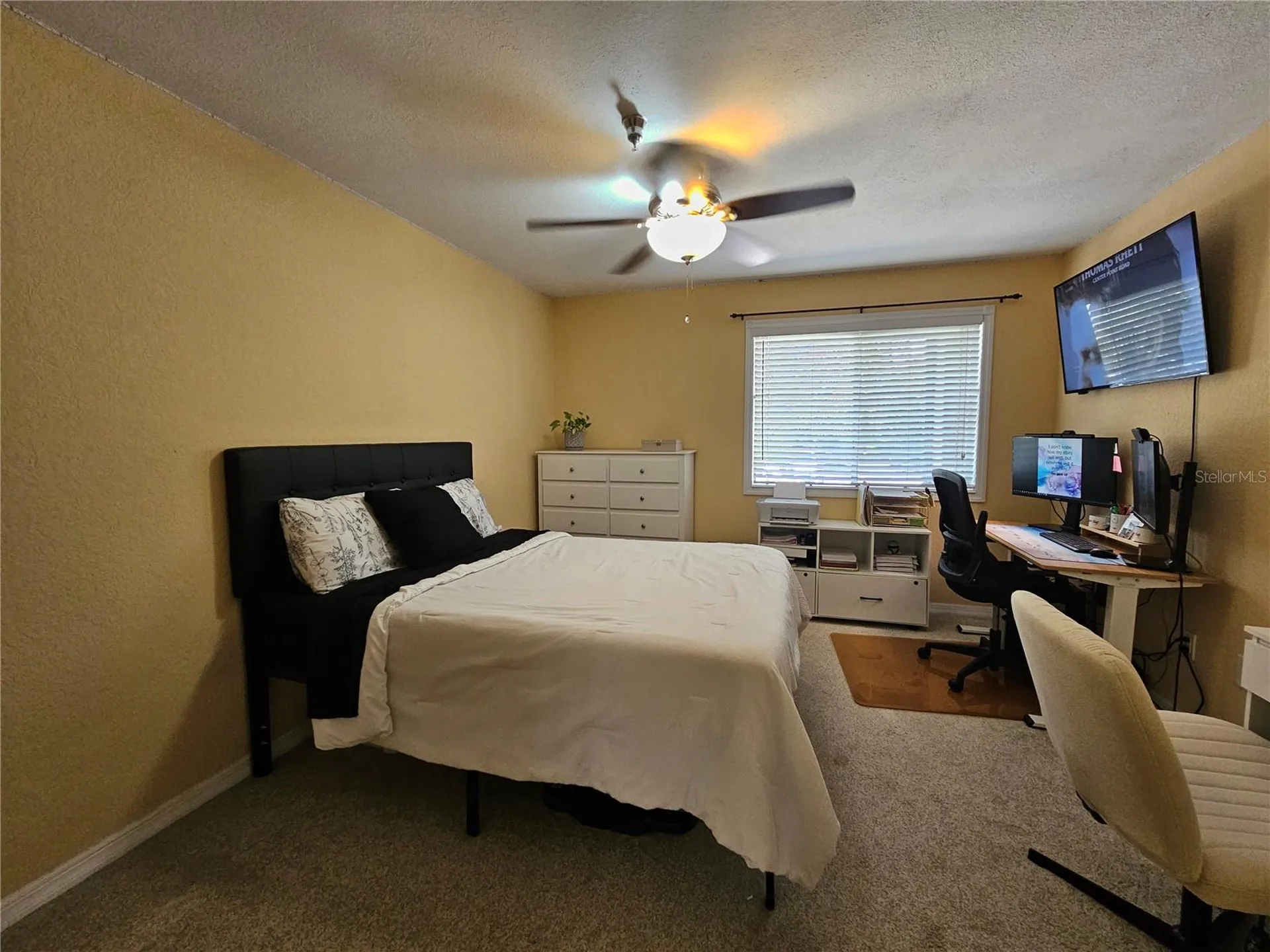 10265 Gandy Boulevard N St Petersburg FL 33702