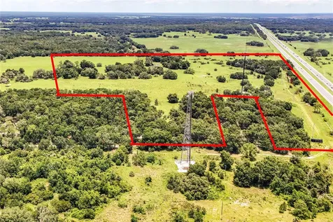 Bushnell FL 33513