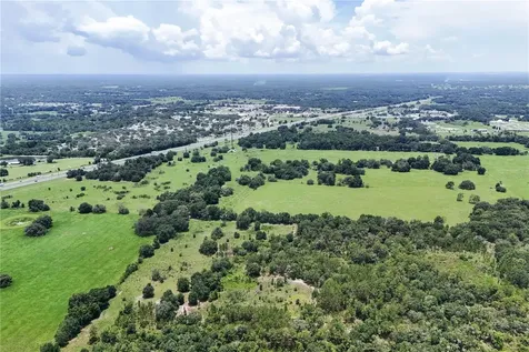 Bushnell FL 33513